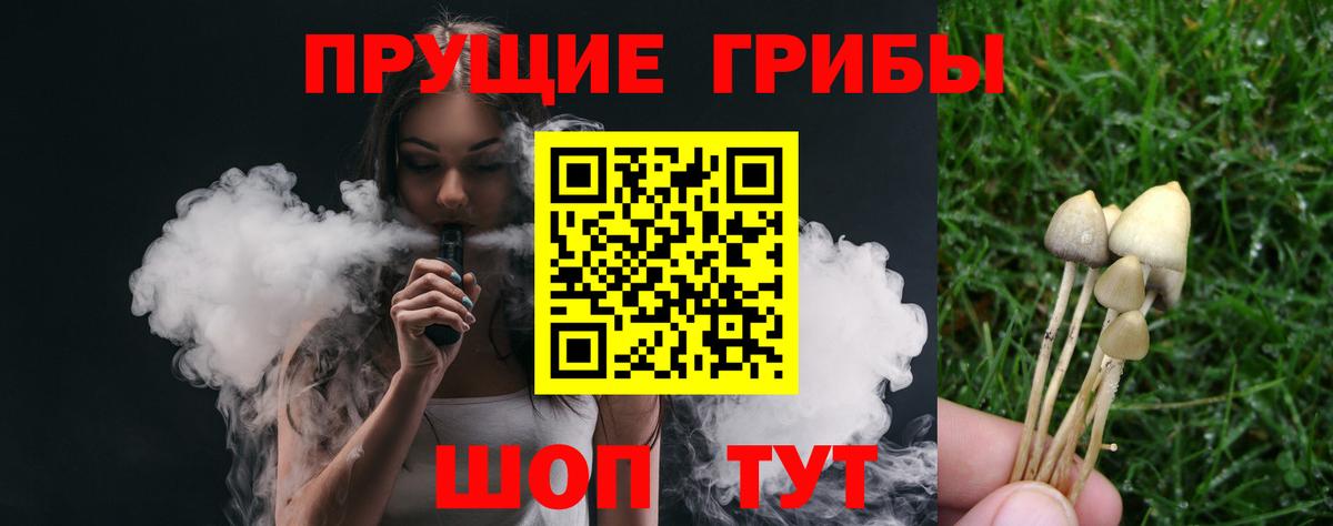 Галлюциногенные грибы мухоморы  Вход с VPN  Псилоцибиновые грибы прущие грибы  Донецк 